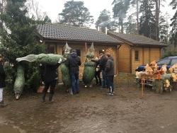 Weihnachtsbaumverkauf 