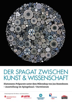 Kreisrundes Mosaik aus Kieselalgen unter dem Mikroskop