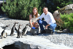 Mit frischem Fisch immer ein willkommener Besuch im Pinguinrevier - Nordwasser-Pressesprecherin Dr. Bettina Kalnins, Nordwasser-Geschäftsführer Ulf Altmann