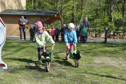 Schubkarrenrennen für Kinder