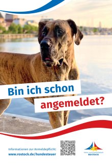 Plakat "Bin ich schon angemeldet?" - Hundesteuer 2025
