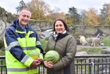 Zoodirektorin Antje Angeli und Rostock-Port-Geschäftsführer Dr. Gernot Tesch mit der wohl besten Überraschung für die Geburtstagsbären - knackige Melonen.