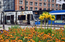 Straßenbahn in der Langen Straße Straßenbahn in der Langen Straße