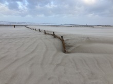 Zugewehter Sandfangzaun am Strand in Warnemünde.