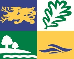 Logo des Deutschen Forstvereins