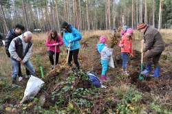 Bürger pflanzen Bäume in der Rostocker Heide