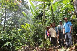 Bewässerung in Peru im Rahmen eines Fairtrade-Projekts