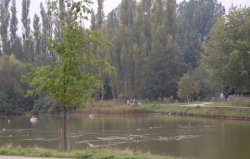 Teich am Fischerdorf zwischen Evershagen und Lütten Klein
