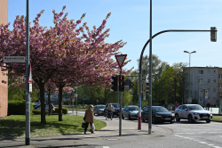 Majakowskistraße