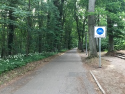 Fahrradstraße im Barnstorfer Wald.