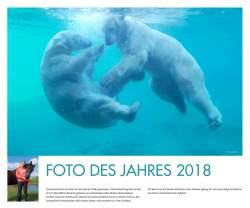Tafel: Siegerfoto "Foto des Jahres 2018"