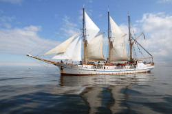 Dreimast-Gaffelschoner Großherzogin Elisabeth  unter Segeln