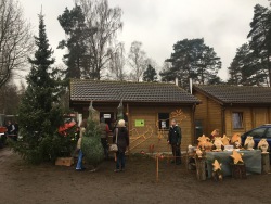 Weihnachtsbaumverkauf 2017_2
