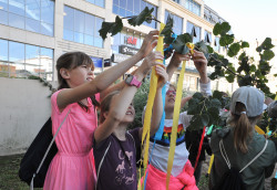 Internationalen Tag des Friedens, Kinder schmücken einen Baum
