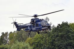 Role2Sea 2025 - Foto 1