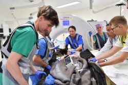 Role2Sea 2025 - Foto 4