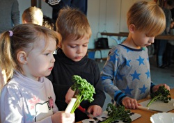 Kinder beim Vorbereiten des Gemüse- und Kräuterquarks in der Kita „Integral e.V.“ Rostock