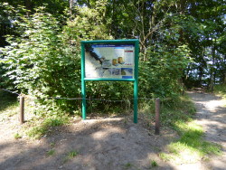 Geologische Hinweistafel „Das Kliff an der Stoltera“ im Naturschutzgebiet „Stoltera“