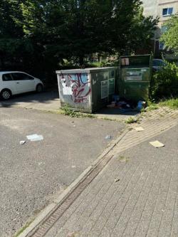 Martin-Niemöller-Straße auch nachher stark verschmutzt durch achtlos weggeworfenen Müll