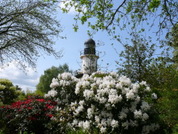 Rhododendrenhain im IGA Park