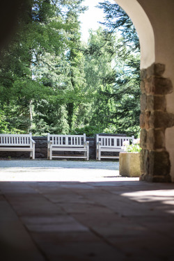 Friedhöfe als Lebensraum für eine diverse Tier - und Pflanzenwelt 