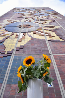 Sonnenblumenhaus