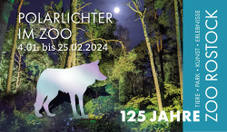 Plakat Polarlichter im Zoo Rostock