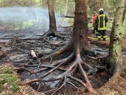 Waldbrand im Revier Wiethagen der Rostocker Heide.