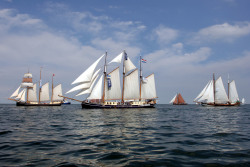 Traditionsschiffe auf der Ostsee