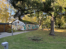 Leerstehende Baracken in der Kröpeliner-Tor-Vorstadt 