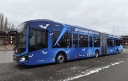 Nachtbus mit Fledermauslackierung
