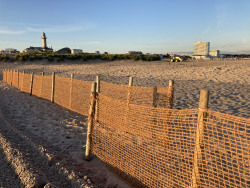  Sandfangzäune aus Kokosfasern am Warnemünder Strand