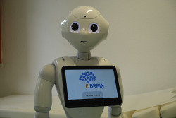 humanoider Roboter