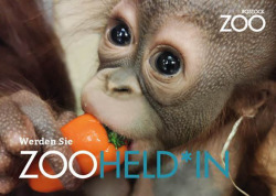 Der jüngste Orang-Utan-Nachwuchs Bayu ist auf einer von acht neuen Motivkarten in der Serie „Zooheld*in“ zu sehen