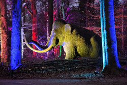 Beim ZooLichtzauber erstrahlt auch Mammut Manni in bunten Lichtern.