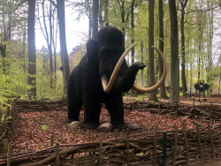 lebensgroße Mammut - Plastik im Rostocker Zoo