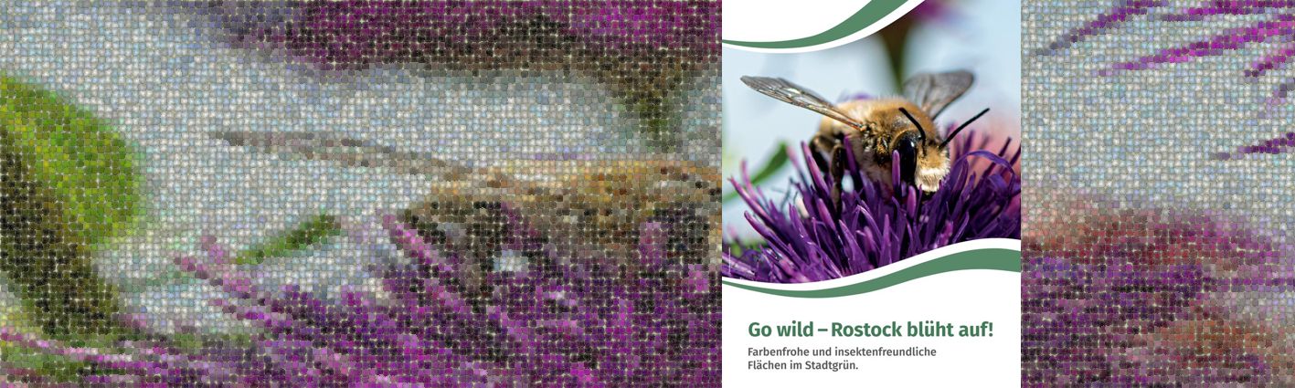 Aktionsplan Insektenschutz APIS