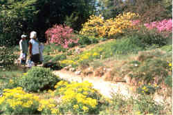 Botanischer Garten