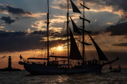 Segeln Sie mit: Viele der Teilnehmerschiffe unternehmen Ostsee-Törns mit ihren Gästen.