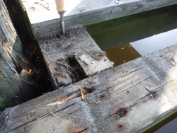 Prüfung einer Holzkonstruktion im Wasserbereich