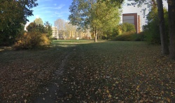 Bild vergrößern