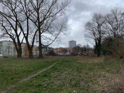 Bombenfund - Rosengarten