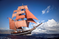 Brigg EYE OF THE WIND