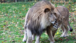 Führung am Valentinstag_Zoo Rostock