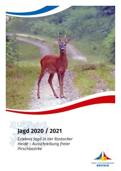 Rotwild im Wald