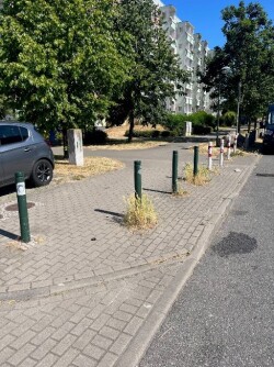 Bild vergrößern