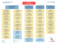 Organigramm der Stadtverwaltung (ab 01.02.2024).
