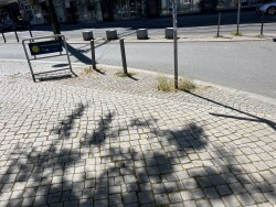 Bild vergrößern