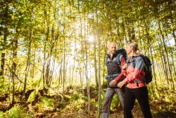 Der größte deutsche Küstenwald, Rostocker Heide