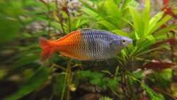 Tierpflegersprechstunde im Aquarium Zoo Rostock
